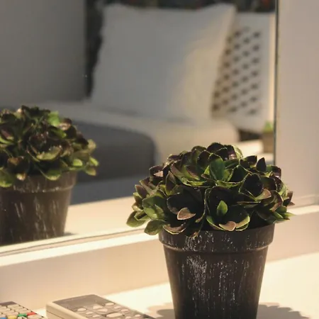 Vegas - Adults Only ゲストハウス アルブフェイラ