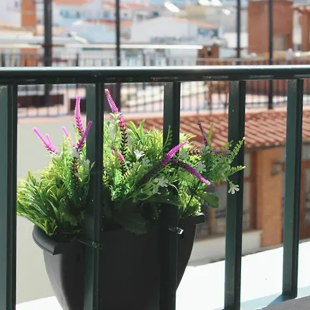 ゲストハウス Vegas - Adults Only アルブフェイラ